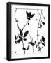 Nature Silhouette IV-Danielle Carson-Framed Art Print