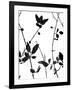 Nature Silhouette IV-Danielle Carson-Framed Art Print