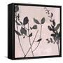 Nature Silhouette on Blush II-Danielle Carson-Framed Stretched Canvas