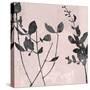 Nature Silhouette on Blush II-Danielle Carson-Stretched Canvas