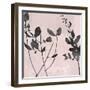 Nature Silhouette on Blush II-Danielle Carson-Framed Art Print