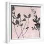 Nature Silhouette on Blush II-Danielle Carson-Framed Art Print