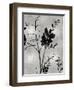 Nature Silhouette Silver II-Danielle Carson-Framed Art Print