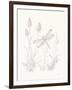 Nature Sketchbook IV-Danhui Nai-Framed Art Print