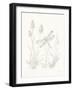 Nature Sketchbook IV-Danhui Nai-Framed Art Print