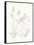 Nature Sketchbook IV-Danhui Nai-Framed Stretched Canvas