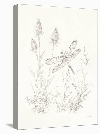 Nature Sketchbook IV-Danhui Nai-Stretched Canvas