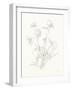 Nature Sketchbook VIII-Danhui Nai-Framed Art Print