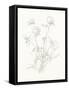 Nature Sketchbook VIII-Danhui Nai-Framed Stretched Canvas