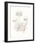 Nature Sketchebook IX-Danhui Nai-Framed Art Print