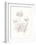 Nature Sketchebook IX-Danhui Nai-Framed Art Print