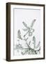 Nature Sprigs-Irene Suchocki-Framed Giclee Print