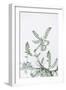 Nature Sprigs-Irene Suchocki-Framed Giclee Print