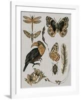 Nature Studies I-Melissa Wang-Framed Art Print