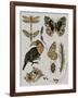 Nature Studies I-Melissa Wang-Framed Art Print