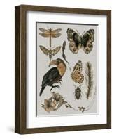 Nature Studies I-Melissa Wang-Framed Art Print