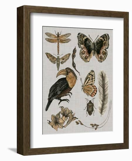 Nature Studies I-Melissa Wang-Framed Art Print