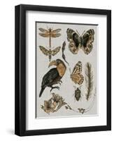 Nature Studies I-Melissa Wang-Framed Art Print