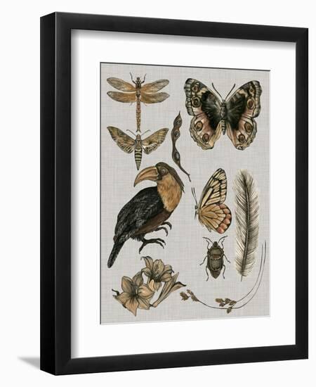 Nature Studies I-Melissa Wang-Framed Art Print