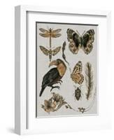 Nature Studies I-Melissa Wang-Framed Art Print