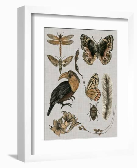 Nature Studies I-Melissa Wang-Framed Art Print