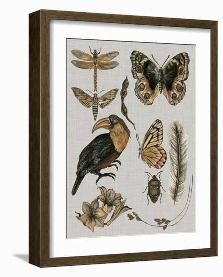 Nature Studies I-Melissa Wang-Framed Art Print