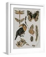 Nature Studies I-Melissa Wang-Framed Art Print