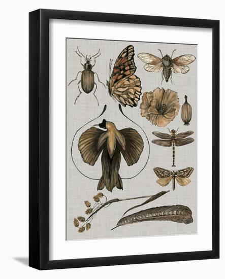 Nature Studies II-Melissa Wang-Framed Art Print