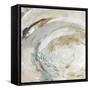 Nature Swirl Square I-Lanie Loreth-Framed Stretched Canvas