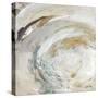 Nature Swirl Square I-Lanie Loreth-Stretched Canvas