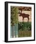 Nature Trail I-Paul Brent-Framed Art Print