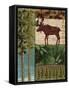 Nature Trail I-Paul Brent-Framed Stretched Canvas