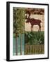 Nature Trail I-Paul Brent-Framed Art Print