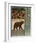 Nature Trail II-Paul Brent-Framed Art Print