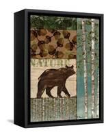 Nature Trail II-Paul Brent-Framed Stretched Canvas