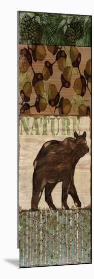 Nature Trail IV-Paul Brent-Mounted Art Print