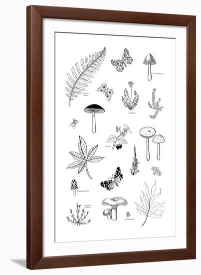 Nature Trail-Clara Wells-Framed Giclee Print