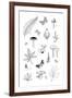 Nature Trail-Clara Wells-Framed Giclee Print