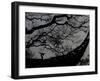 Nature Versus Architecture, China-Ryan Ross-Framed Photographic Print