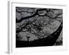 Nature Versus Architecture, China-Ryan Ross-Framed Photographic Print