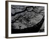 Nature Versus Architecture, China-Ryan Ross-Framed Photographic Print