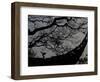 Nature Versus Architecture, China-Ryan Ross-Framed Photographic Print