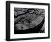 Nature Versus Architecture, China-Ryan Ross-Framed Photographic Print