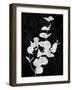 Nature White on Black I-Danielle Carson-Framed Art Print