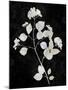 Nature White on Black VI-Danielle Carson-Mounted Art Print