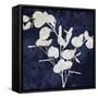 Nature White on Blue III-Danielle Carson-Framed Stretched Canvas