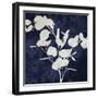 Nature White on Blue III-Danielle Carson-Framed Art Print