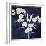 Nature White on Blue III-Danielle Carson-Framed Art Print