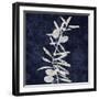 Nature White on Blue IV-Danielle Carson-Framed Art Print