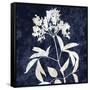 Nature White on Blue V-Danielle Carson-Framed Stretched Canvas